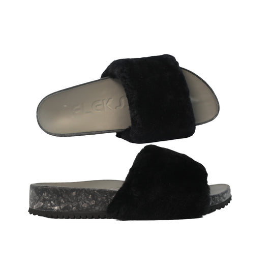 FLEKS SAN YSIDRO SLIDE - RAVEN