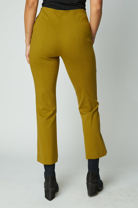 OLIVIA BY HABITAT KICKFLARE PANT - GREEN