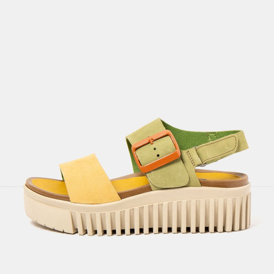 ART BRIGHTON 1578 - LICHEN AND HONEY