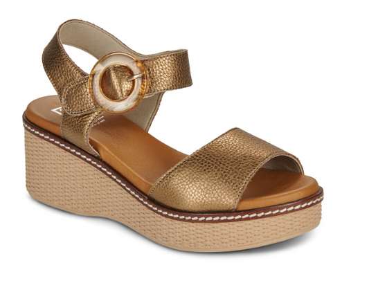 DORKING NIDO - BRONZE