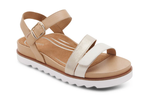 AETREX CASS - CHAMPAGNE MULTI