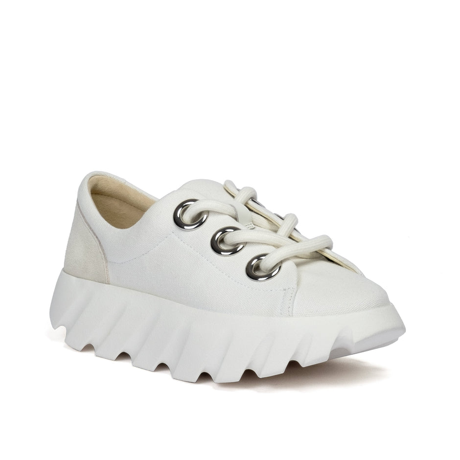 4CCCCEES – Kaufman Shoes